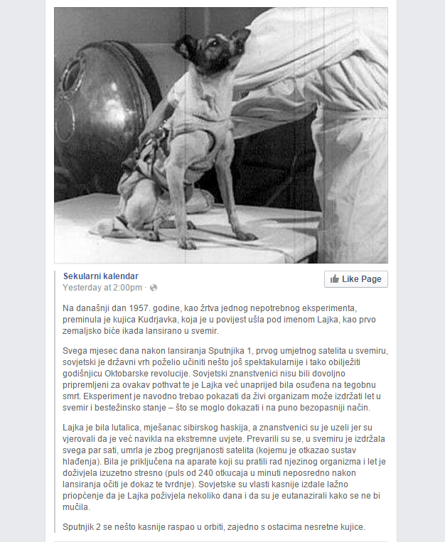 ISTINA BOLI, ALI JE NUŽNA: Slavna Lajka umrla je užasnom smrću