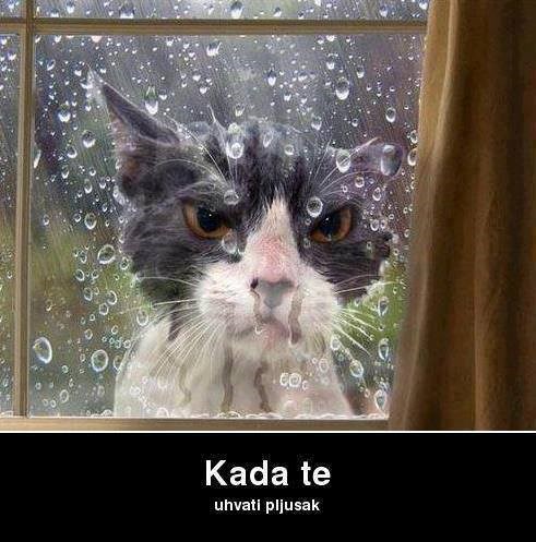 Nakon produženog vikenda svi se osjećaju k'o pokisla mačka
