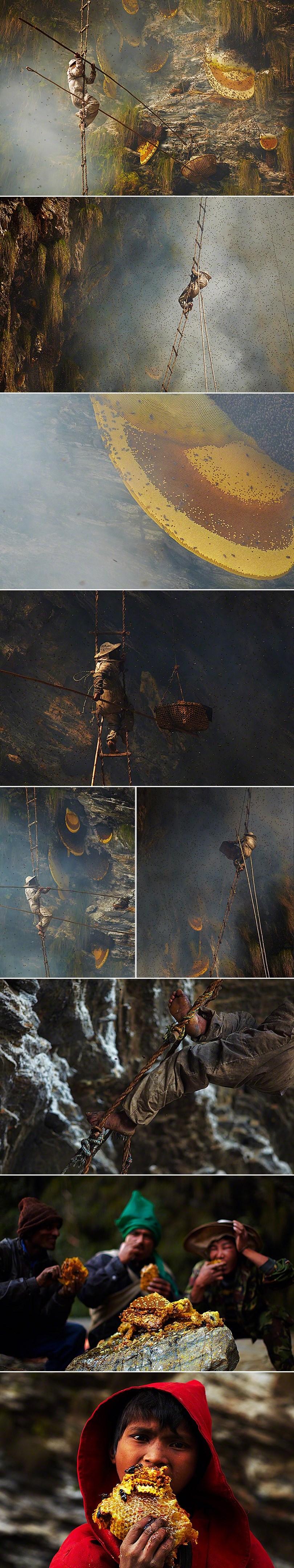 GALERIJA: Riskiraju živote u najvećoj košnici na svijetu