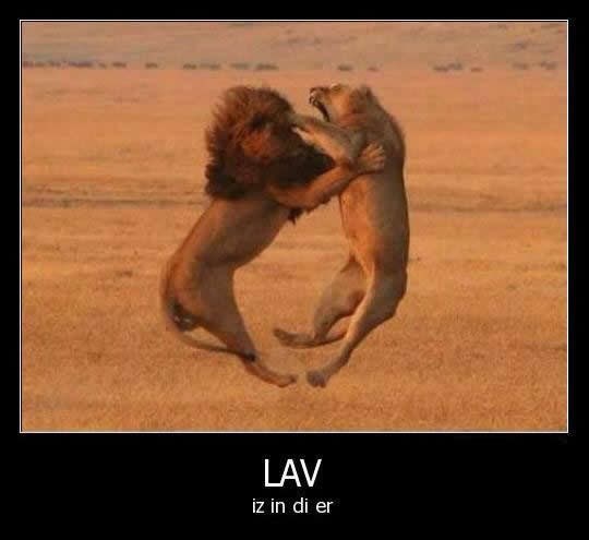 Kad krivo skužiš stihove