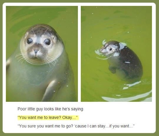 Najtužniji pogled na svijetu: Ne želiš se igrati?!