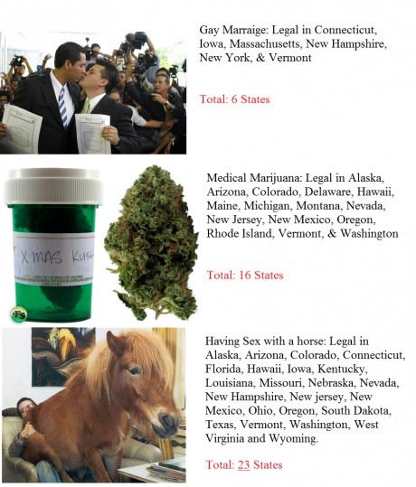 Licemjerje do jaja: Gay brak "NE", seks s konjem "O, DA"?