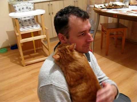 VIDEO: Ponekad, sve što ti treba je zagrljaj