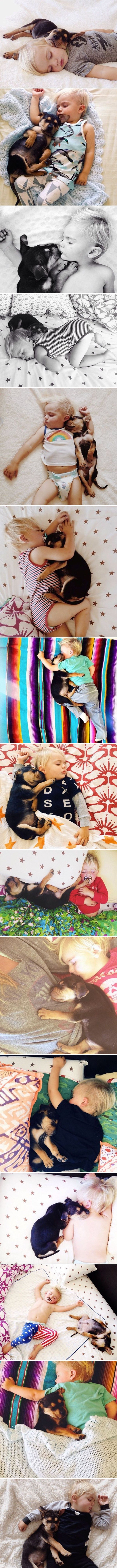 Dijete i štene nerazdvojan par: Slike spavajućih mališana koje govore više od tisuću riječi!