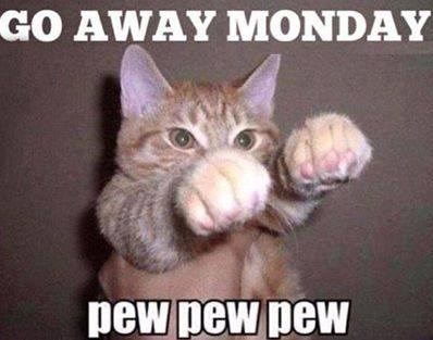 Maca se obračunala s najomraženijim danom u tjednu