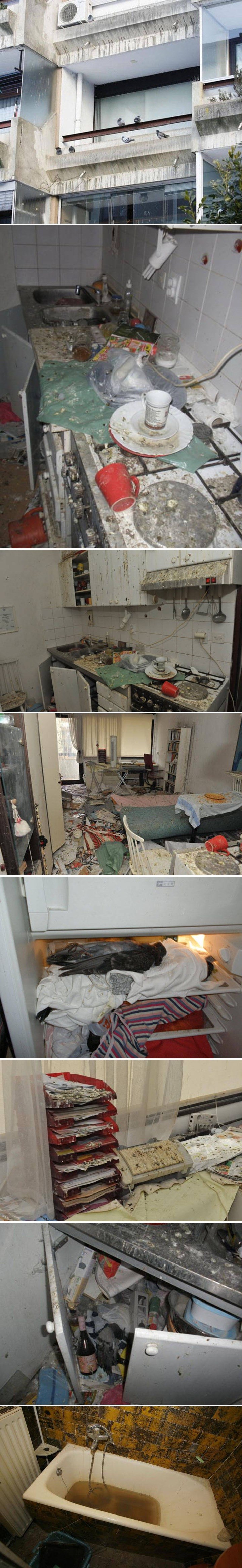 Slovenka otvorila prozore kako bi golubovi mogli koristiti njen stan, rezultat toga će vam zgaditi život