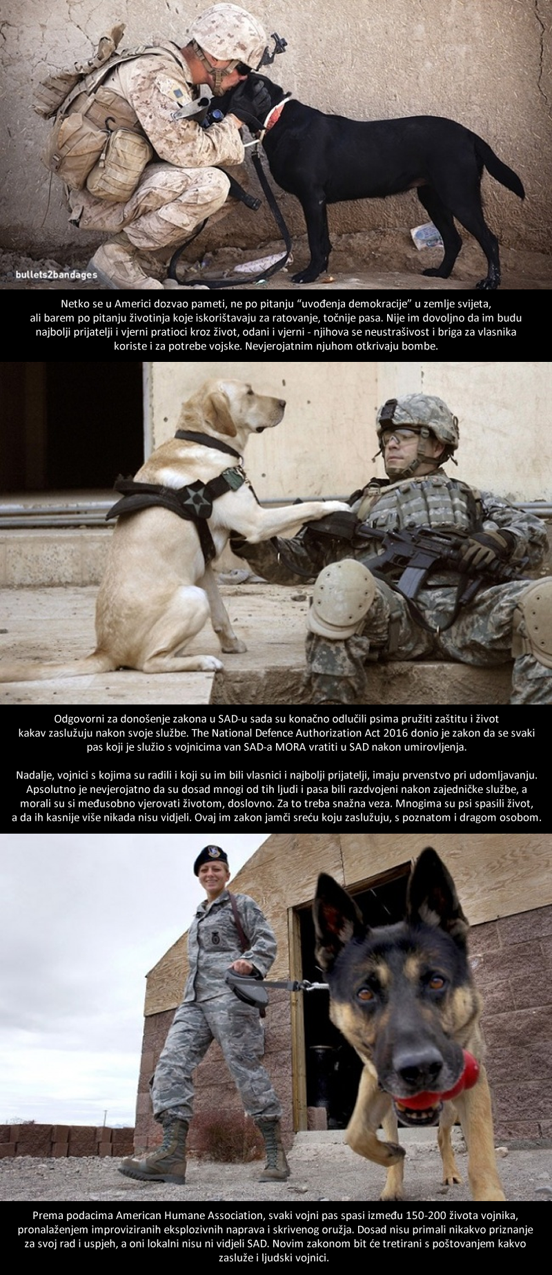 Amerika vojnim psima konačno pruža nagradu i poštovanje koje zaslužuju