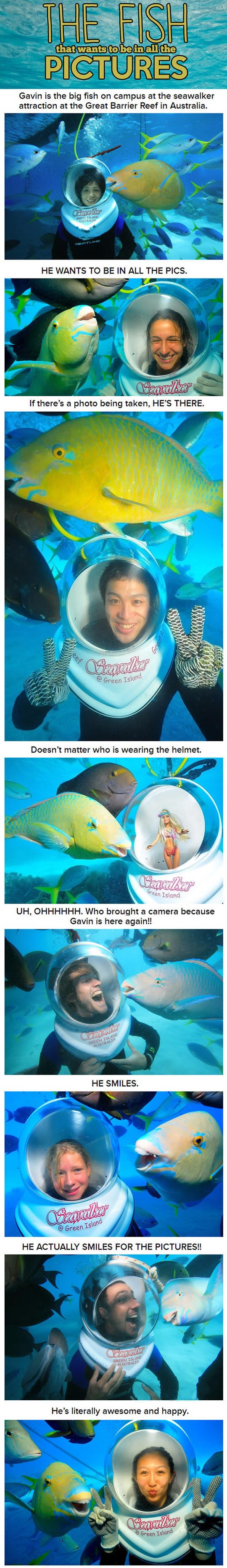 Nasmijana riba se gura na svaku fotku