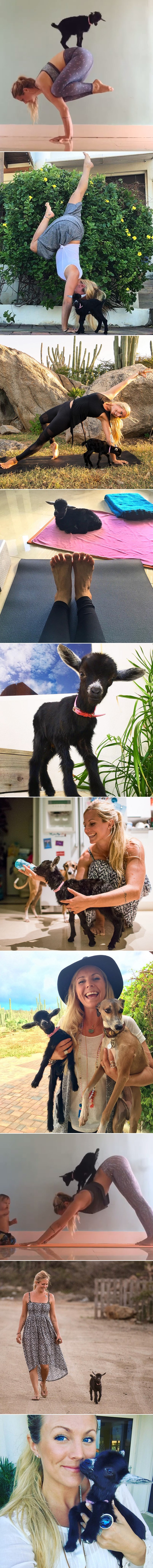 Nemate pojma što je joga dok je ne odradite s malom kozom!