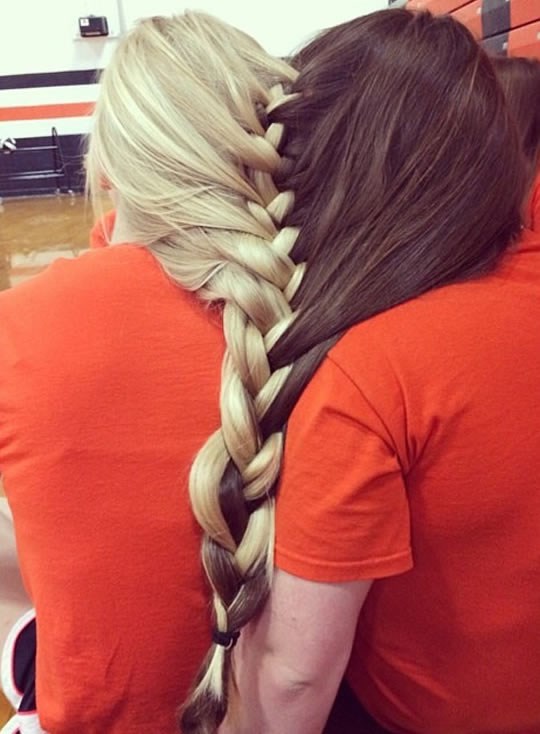 Baciš pauka na njih i da vidiš kaosa