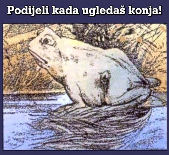 Testiraj mozak - što vidiš na slici?