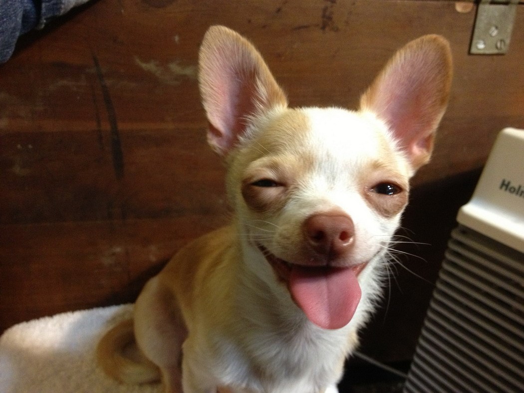 Heheeee, dobar ti je taj s Mujom, aj opet!