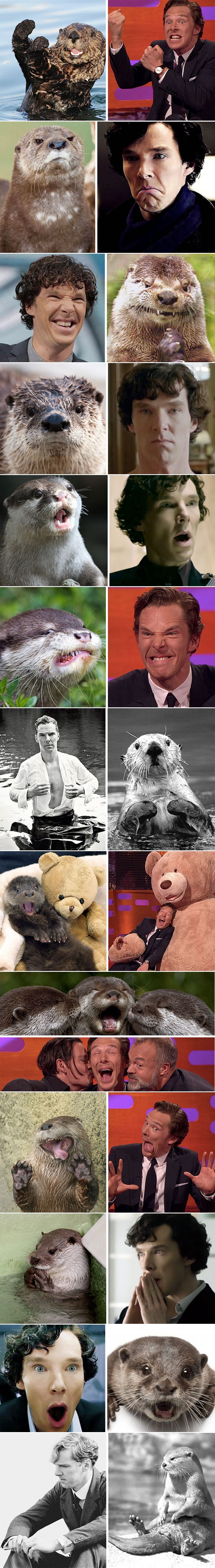 GLASINE O NJEMU SU POTVRĐENE: Benedict Cumberbatch je vidra