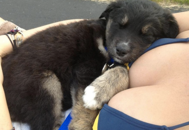 Pronašao je idealno mjesto za spavanje 