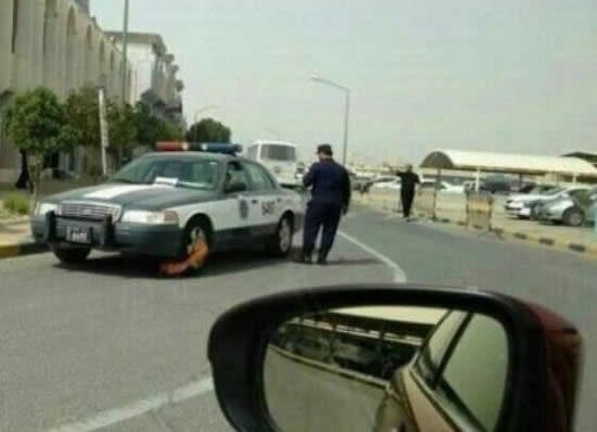 Opla, murju napao pauk!