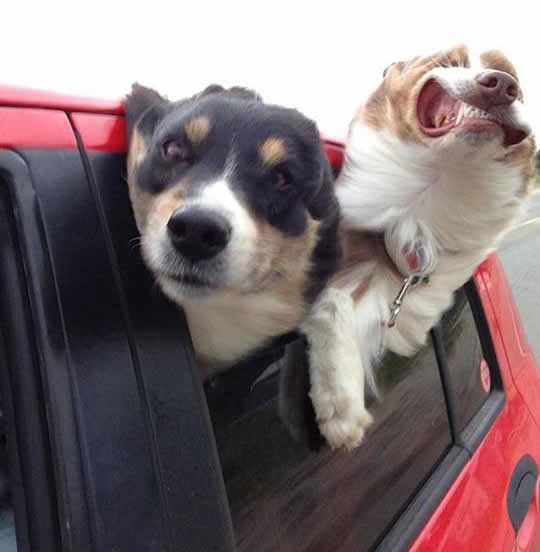 A daj se makni, oću vidit kak smo brzi, glupane!