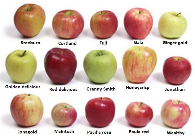 Koju jabučicu najviše voliš?