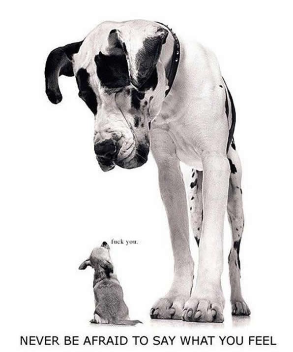 "Odjebi, veliki": Ne boj se reći što misliš