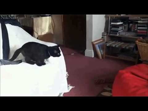 VIDEO: Ono kad ti je svega dosta...