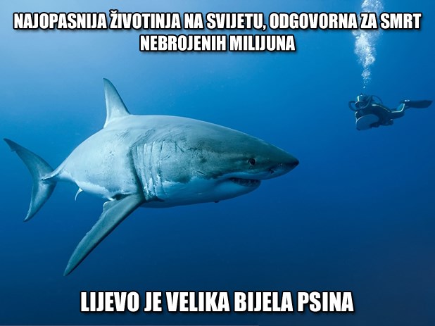 Fotka najopasnije životinje na svijetu