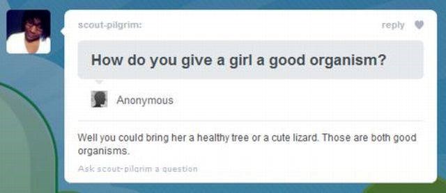 Kako curi priuštiti dobar orgaNIzam: Stari, sretno ti bilo!