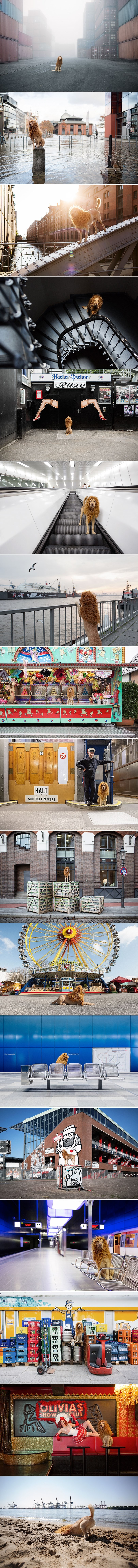 Napušteni pas pronađen u smeću postao kralj "urbane džungle"