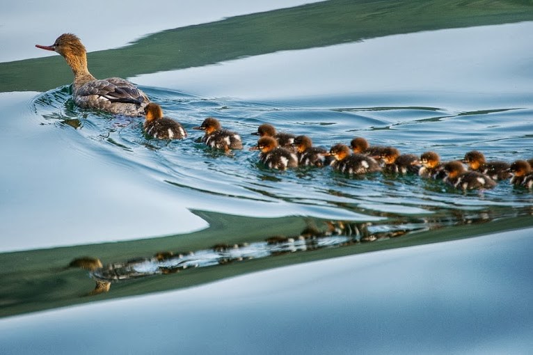 Prvo plivanje s mamom