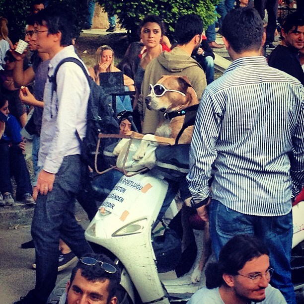 Nađi navjećeg frajera na fotografiji