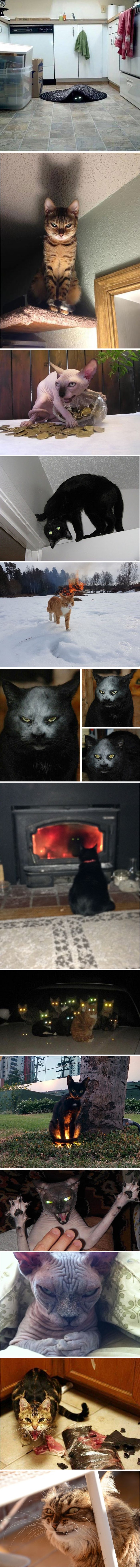 Trinaest fotografija koje dokazuju da svaka maca ima nešto "demonsko" u sebi!