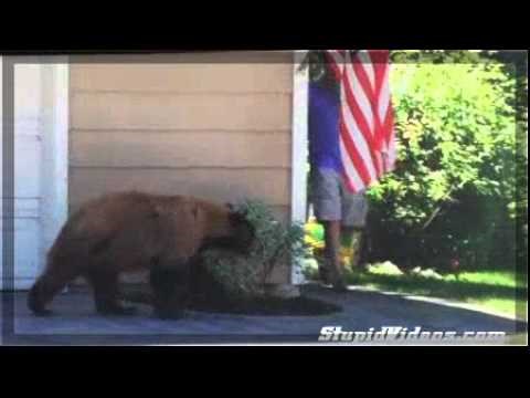 Što se dogodi kad se sretnu medvjed i čovjek?