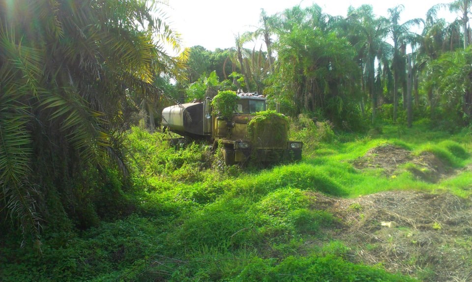 Priroda voli uzeti natrag...