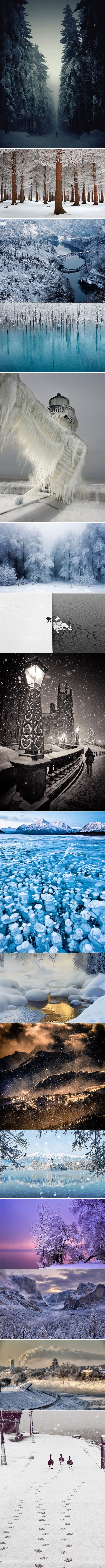 Galerija: Tiha ljepota zime