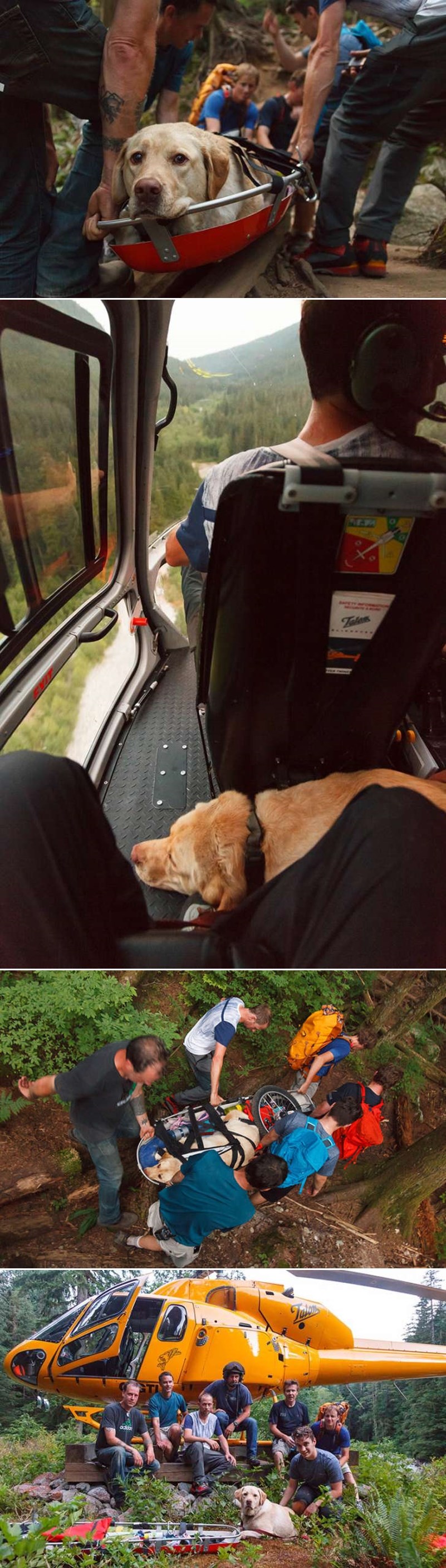 GALERIJA: Vjera u ljude - vraćena