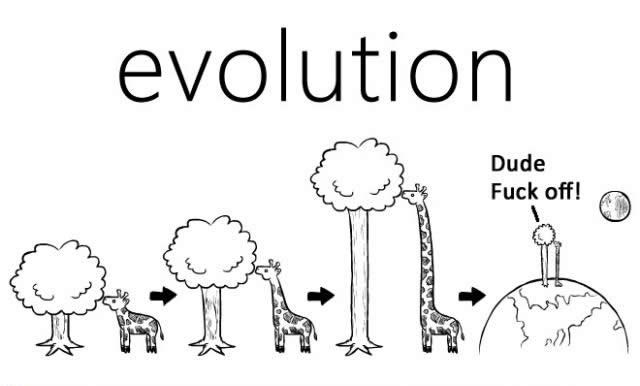 Evolucija živcira do neba