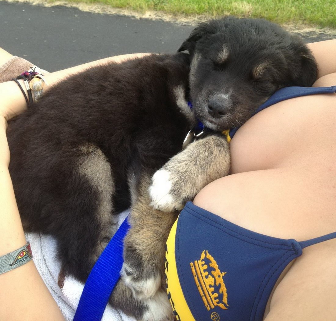 Svi bi tako mirno spavali kad bi imali ovakav jastuk!