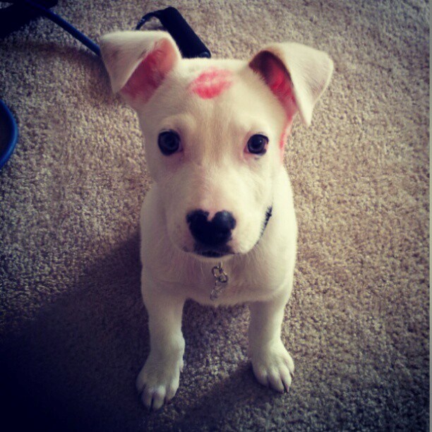 Kažu da ti pesek privuče žene