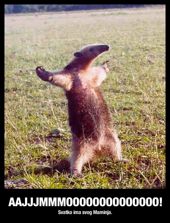 Maminjo iz životinjskog carstva