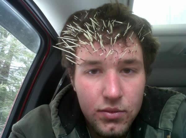 Kad guraš glavu u rupu u drvetu..