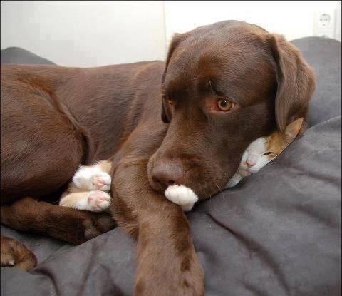 Mica, ti si moja i toliko te volim da te nigdje ne puštam!