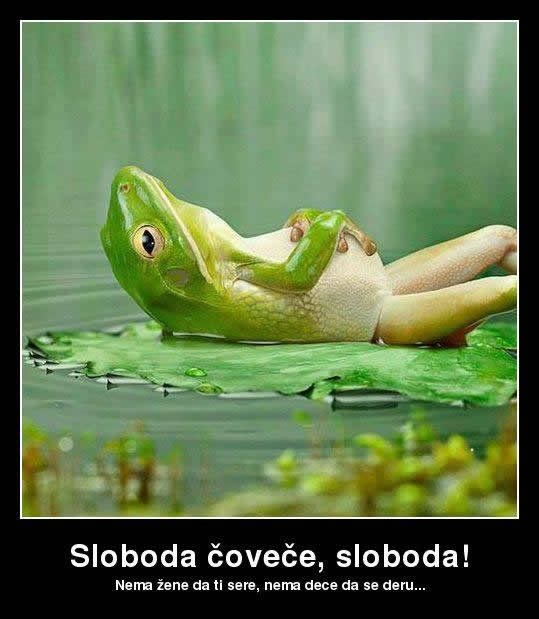 Kako prosječni muž zamišlja pravu slobodu