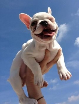 Život je jedno veliko kreveljenje - pridruži mu se!