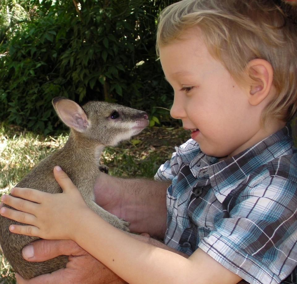 Ajde malac, pusu mi daj, dobar sam bio
