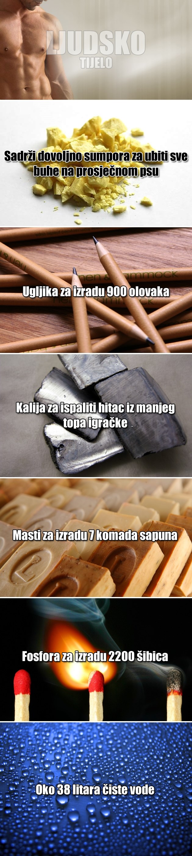 Što se sve može napraviti od jednog čovjeka?