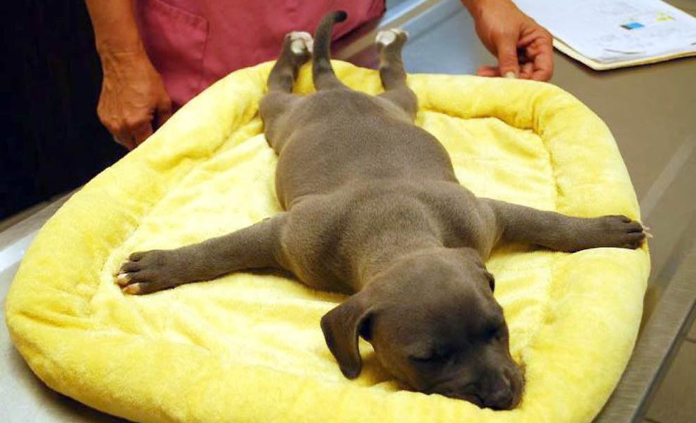 Petak popodne: Ćao, đaci, vikend!