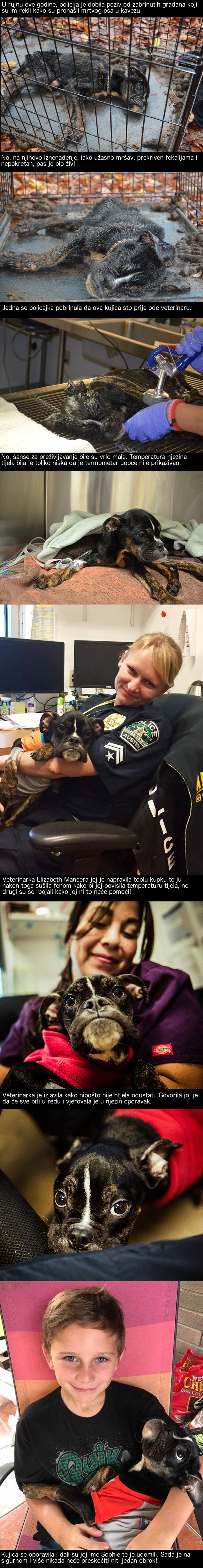 Nazvali su policiju misleći da je mrtva, no onda se dogodilo čudo!