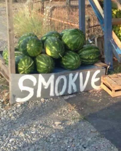 Došlo vrijeme za muljanje turista