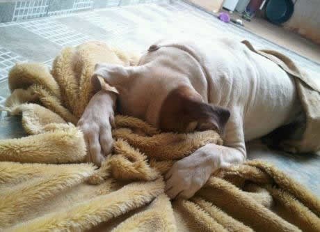 A kvragu, ne da mi se ustat, neheheheeećuuu!