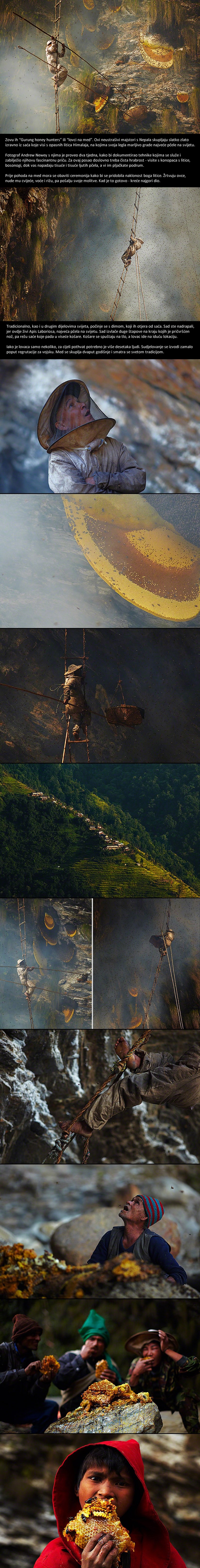 Zapanjujuće fotke neustrašivih "lovaca na med" s litica Himalaja