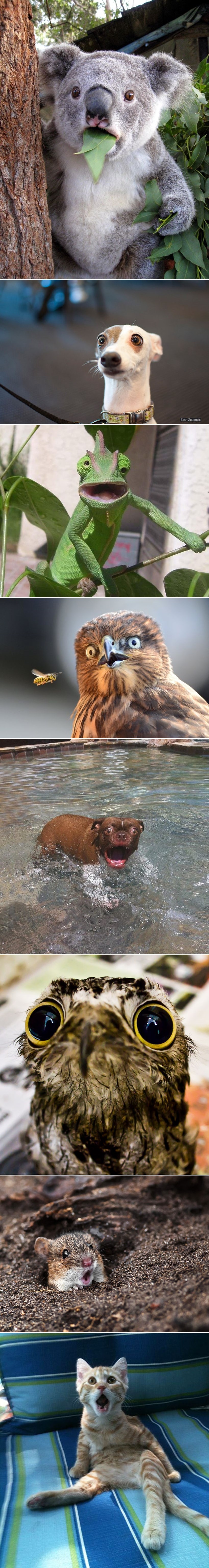 GALERIJA: Da nam je znati što su vidjeli...Pogotovo br.6