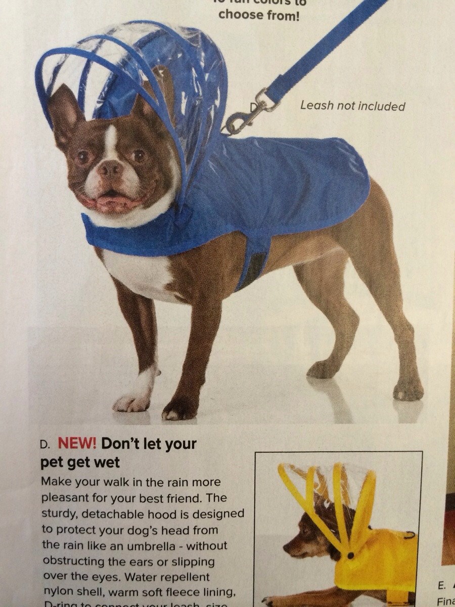 Moderna i fensi kabanica za ljubimca